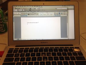 Zena Shapter NBWG WABIAD 2016 laptop writing